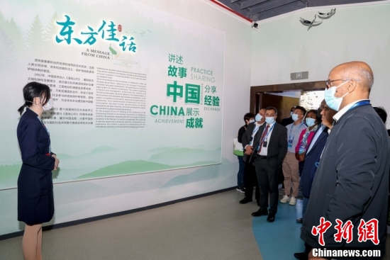 中新网.jpeg