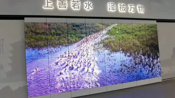 动图3.gif